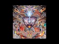 Grizzly Bear Yet Again David August Remix
