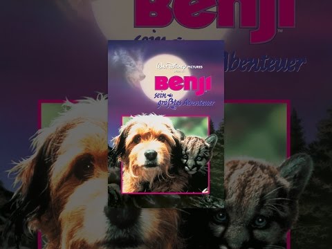 Benji, sein größtes Abenteuer