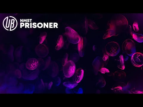 NMST - Prisoner