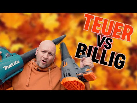 Leaf blower comparison: Makita vs FUX TEC – battery power put to the test!
