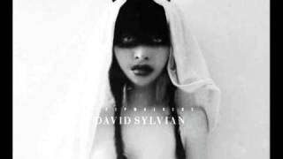 David Sylvian - Transit