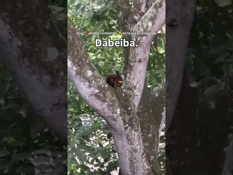 🐿️🥭 Postales que solo el territorio regala