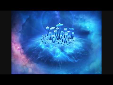 Axell Astrid - Energetic Psy Night 2 - PlayTrance Radio