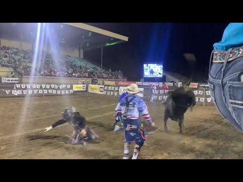 A bull chases bullfighter Cody Webster over the fence at the Central Wyoming Rodeo on Saturday