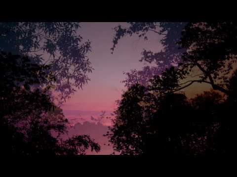 Belle Presents Silhouettes in the Sunset