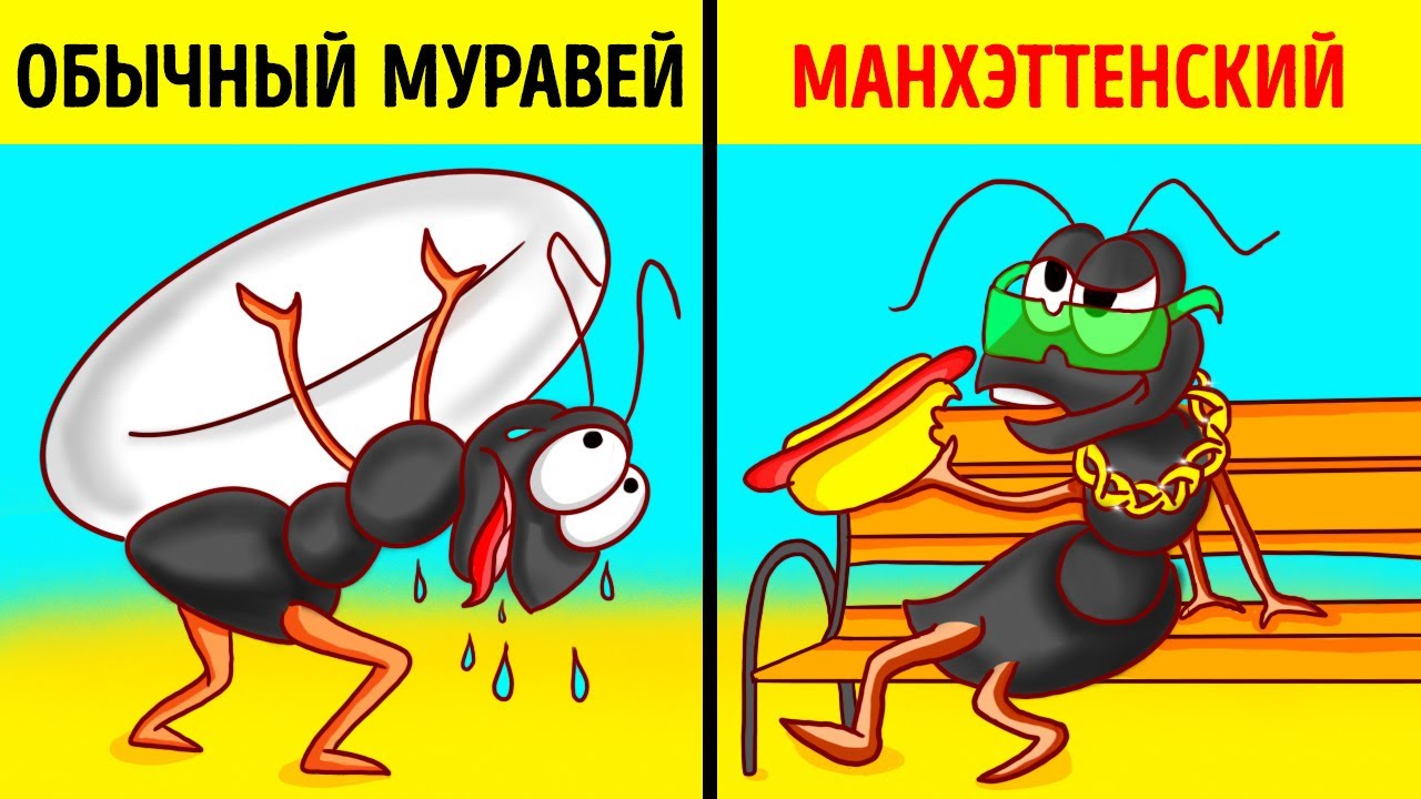 Уникальные насекомые Нью-Йорка, которых вы больше нигде не встретите