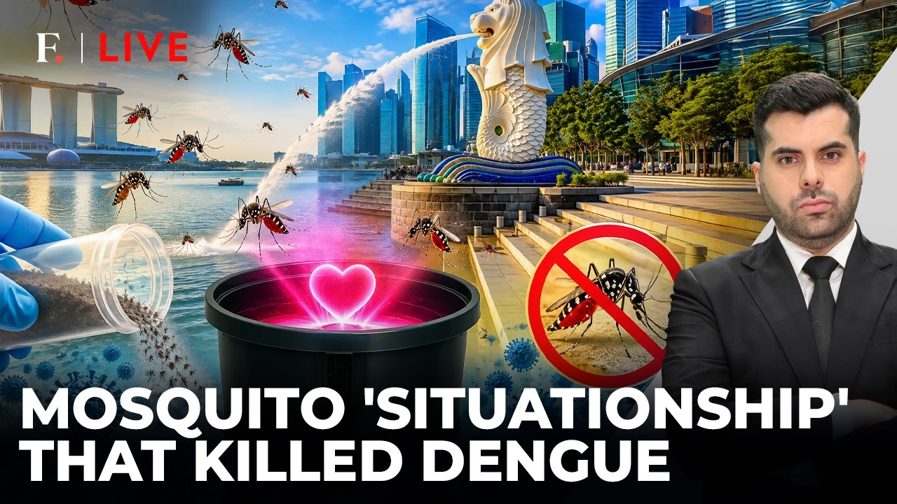 Singapore’s Mosquito 'Love Trap' Beats Dengue; 'Millions Of Skeeters Released...' | Firstpost Live