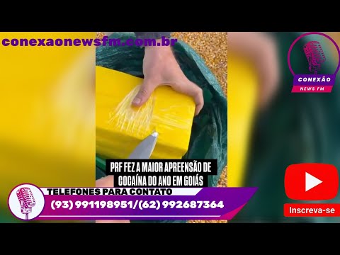 Polícia Rodoviária Federal faz maior apreensão de drogas no interior d