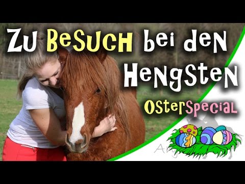 [OSTERSPECIAL] Zu Besuch bei meinen Hengsten - Tino, Da Vinci & Quickstep