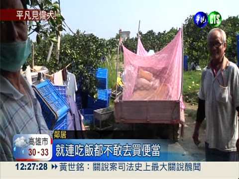 護孫註冊錢 七旬柚農睡果園十年