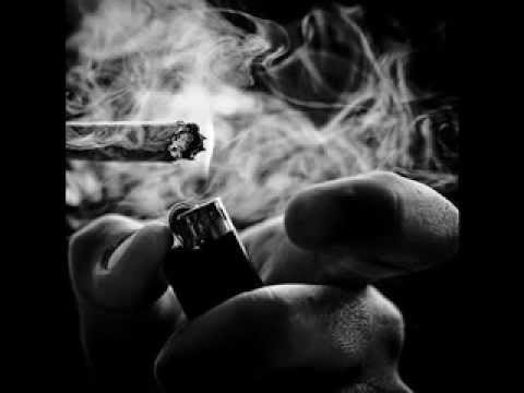 The Professionals Freestyle (feat Sibs, Chilo & Los)