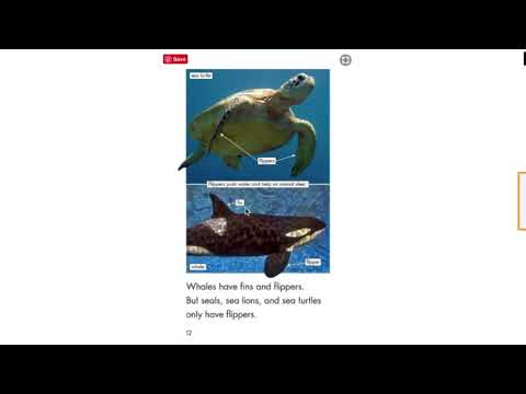 Read Along With Mary - Legs, Wings, Flippers, & Fins