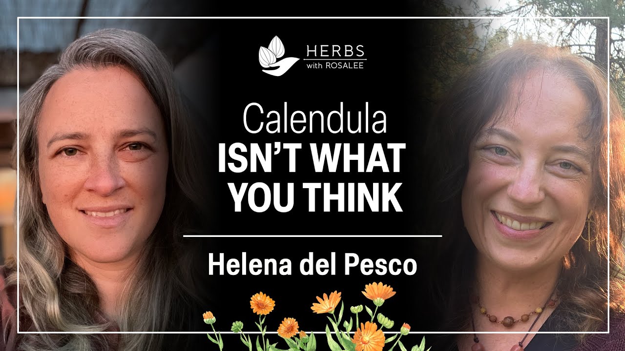 Why Calendula Is a Must-Have Herb for Every Home - YouTube