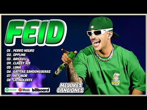 Feid Mix Éxitos 2024 - Lo Más Popular de Feid 2024