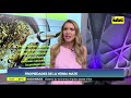 Propiedades De La Yerba Mate