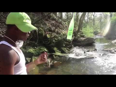 Bermuda Yae - Pay Off (Official Video)