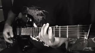 FROM ASHES RISE - THE FINAL GOODBYE (Guitar Cover)