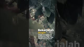 Download lagu Alhamdulillah AKHIRNYA PANEN Alpukat, Terimakasih Allah..🙏🙏🙏 #Buah #Alpukat #terimkasihyaallah❤️ mp3 Download lagu Alhamdulillah AKHIRNYA PANEN Alpukat, Terimakasih Allah..🙏🙏🙏 #Buah #Alpukat #terimkasihyaallah❤️ mp3