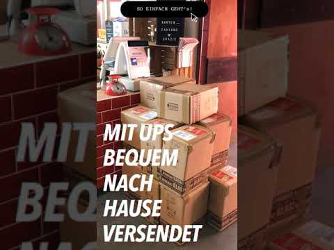 Lettinis Online Tasting / Vol. 01