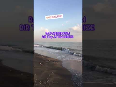 BİR TAŞ ATTIM DENİZE