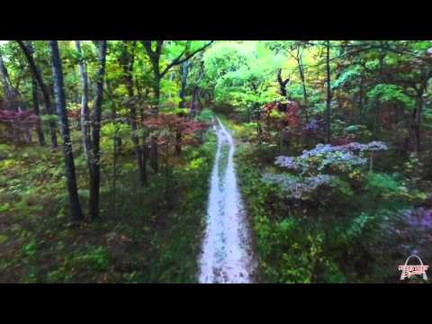 Quivering Quads II - Fleet Feet St. Louis