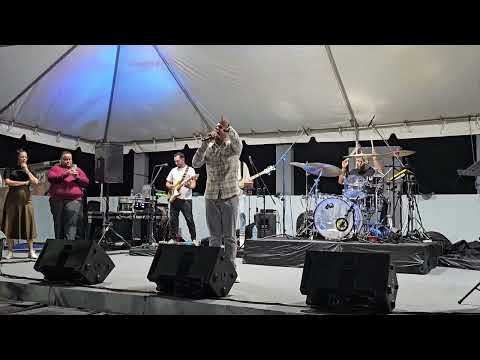 Sanaras "Felixis Falcon"