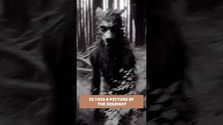 Did this Dogman creature disappear a hiker in Kentucky? #shorts #dogman