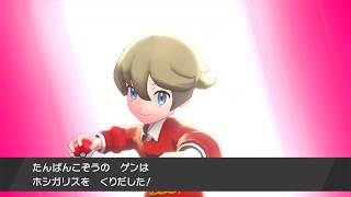【ポケモンシールド】パート２　ブラッシータウン～２番道路