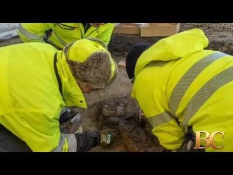 Viking-Age Grave Reveals a Burial Unlike Anything Seen Before