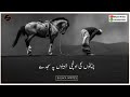 Zameeno Py Sajde Naat WhatsApp Status