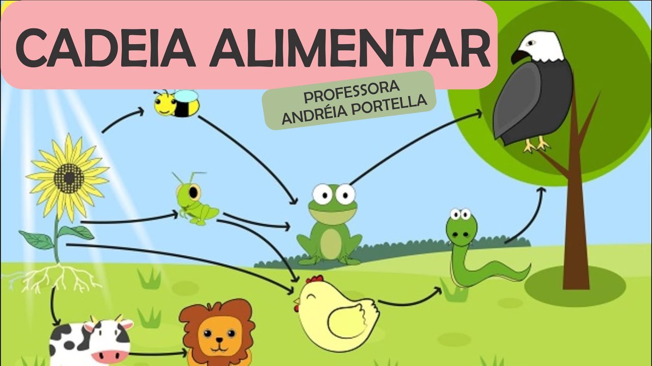 Cadeia Alimentar