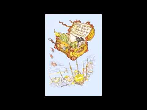 3 - Der fliegende Koffer