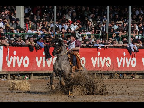 Feriado de Santa Edwiges