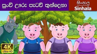 Three Little Pigs in Sinhala  Sinhala Cartoon  Sin
