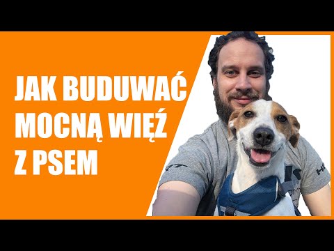 DOBRA RELACJA Z PSEM - proste zabawy z psem w domu na budowanie więzi