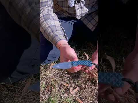 Comfrey Revival: 20 Cuttings, 1 Plant Success!