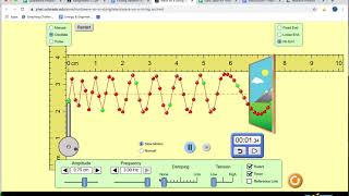 Wave Velocity in pHET