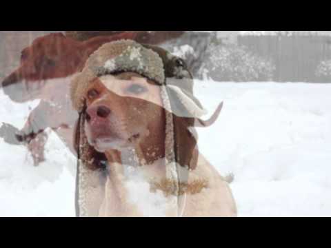 This 'Ole House - The Story Behind The Song Told By Stuart Hamblen