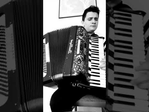 MC Stojan feat. Aleksandra Prijovic-Sta bi (cover harmonika)