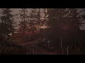 Relaxing Life Is Strange Rainy Ambience W Music To Sleep Study Relax 10 Hours