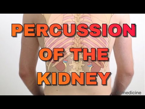 Percussion of the Kidney | Easy Clinical Skills for Medical Students