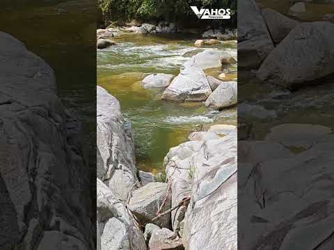 Día Mundial del Agua - Granada, Antioquia