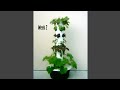 Tower Garden Growing System