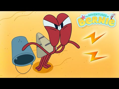 NEW The Adventures of Bernie ⚡️ Neighborhood problem ⚡️ Zig & Sharko - Compilation Cartoons for Kids