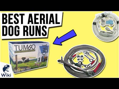 9 Best Aerial Dog Runs 2021