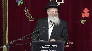 | הרב שמואל אליהו | קול צופייך לפרשת דברים תשפ"ד (הרב שמואל אליהו) - התמונה מוצגת ישירות מתוך אתר האינטרנט יוטיוב. זכויות היוצרים בתמונה שייכות ליוצרה. קישור קרדיט למקור התוכן נמצא בתוך דף הסרטון