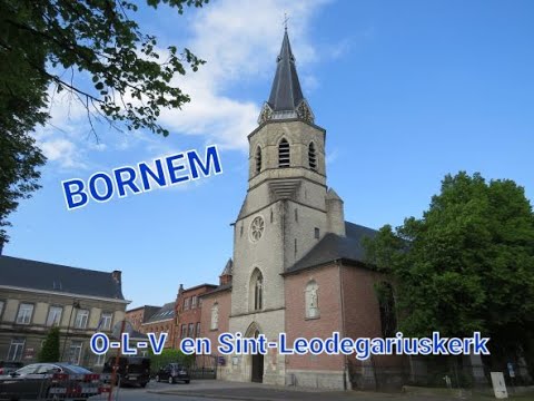 Bornem : de kerk en zijn crypte