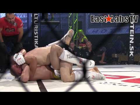 PCF7 Langer vs Schnierer