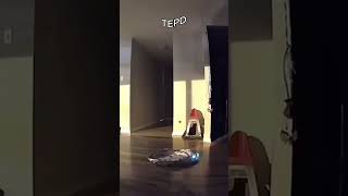 📸 Este gato foi pego pela câmera! 🐱😲