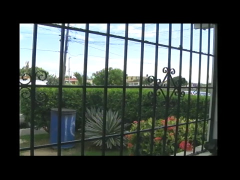 production people Live Stream